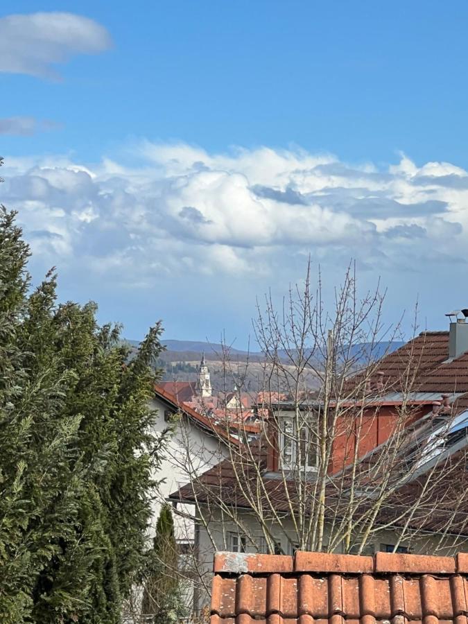 Casa Conte Apartment Tubingen Bagian luar foto